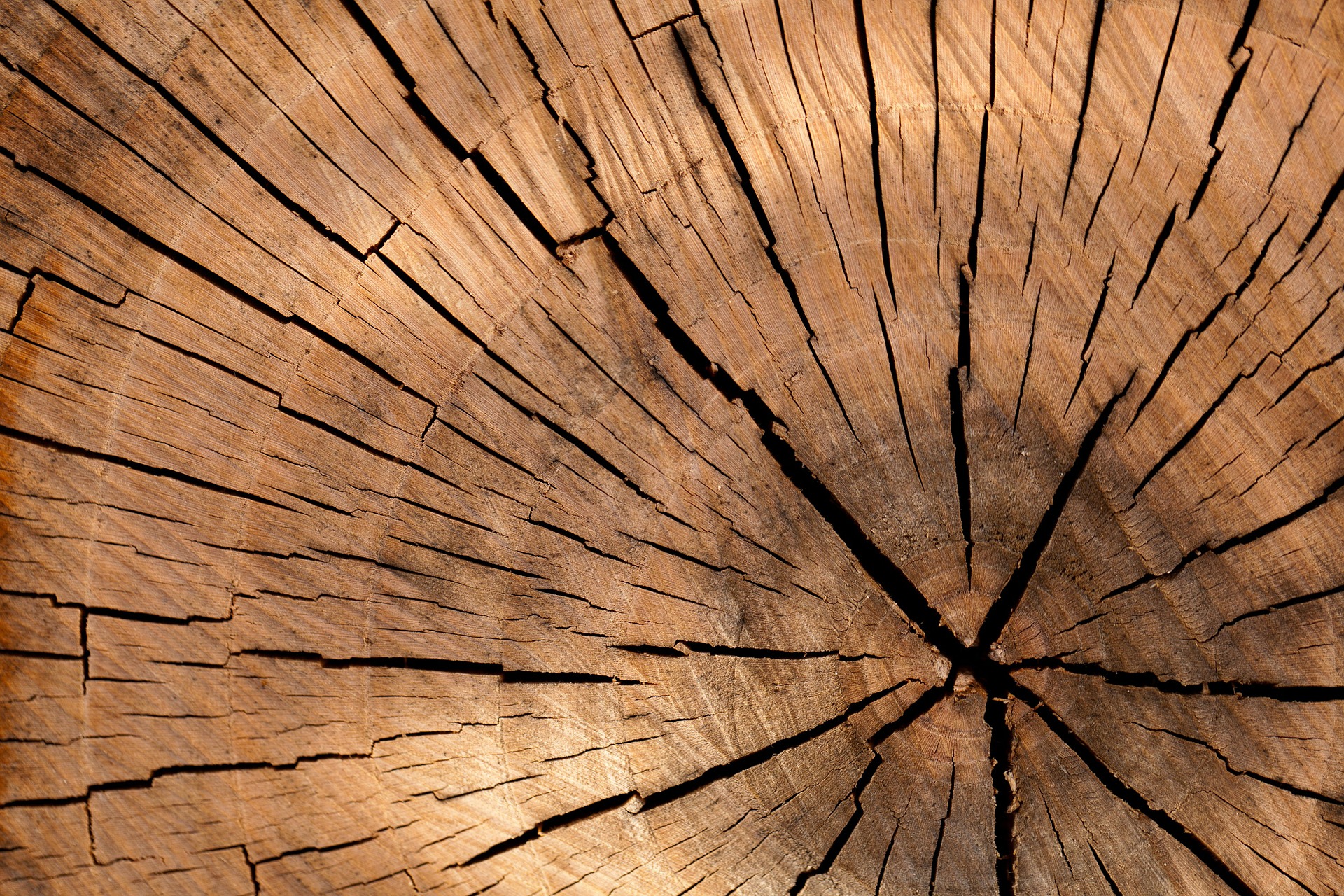 01-holz-pixabay-05-27-19
